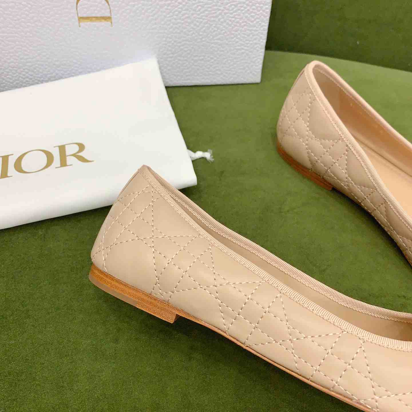 Dior Ballet Flat  - FashionPlug