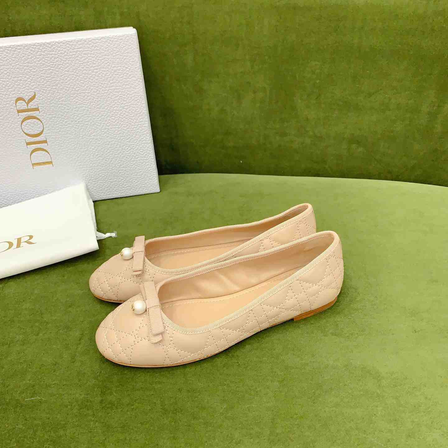 Dior Ballet Flat  - FashionPlug