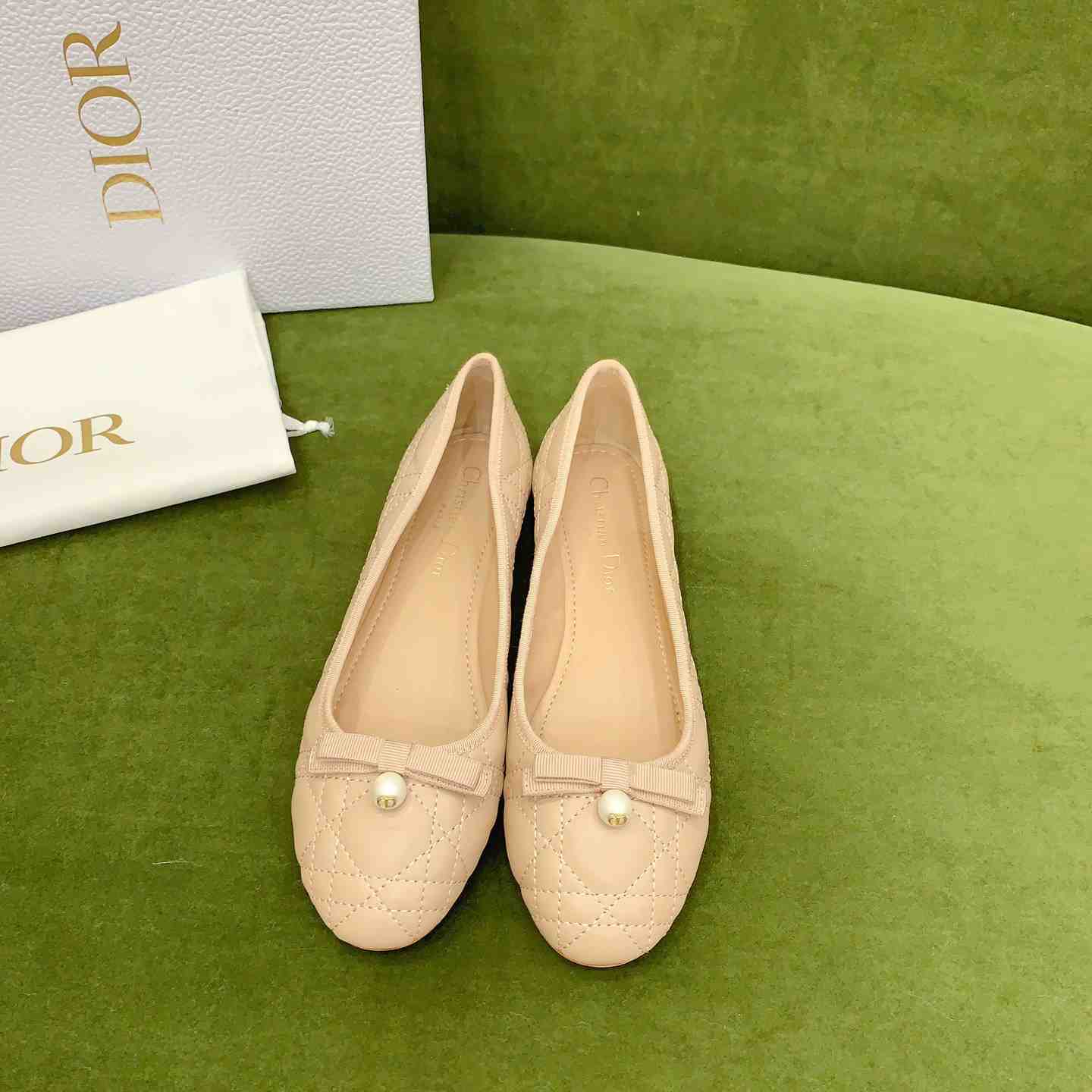 Dior Ballet Flat  - FashionPlug
