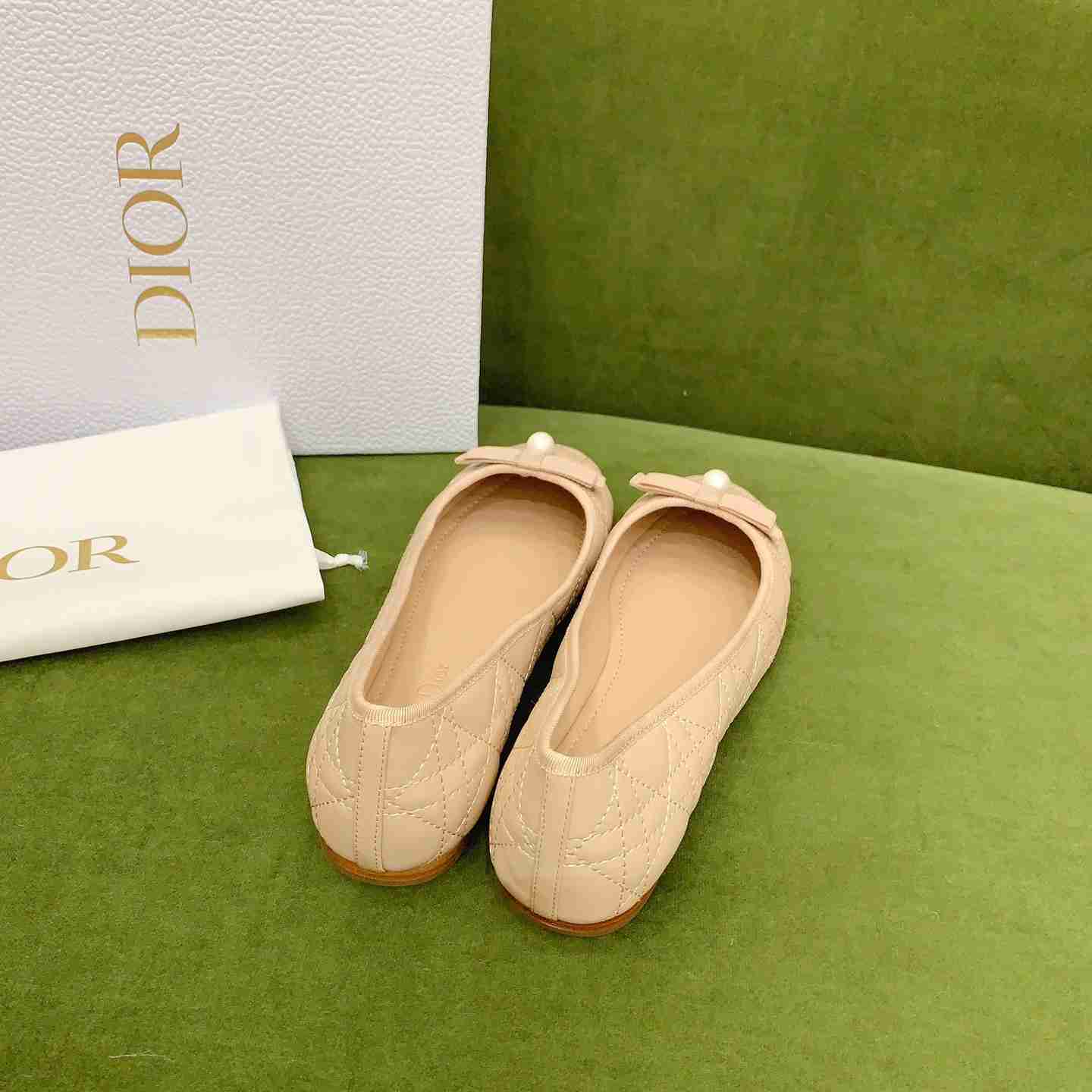 Dior Ballet Flat  - FashionPlug