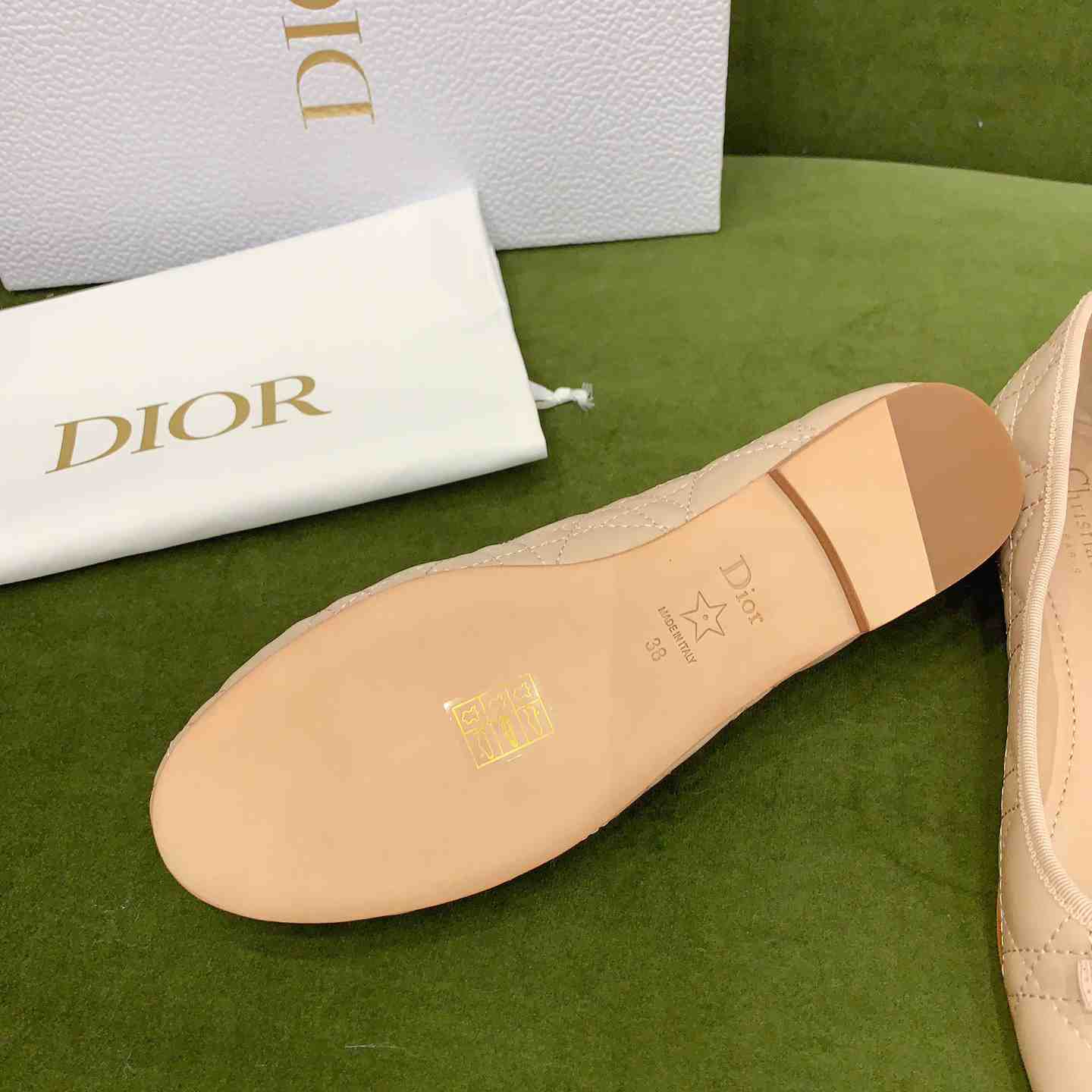 Dior Ballet Flat  - FashionPlug