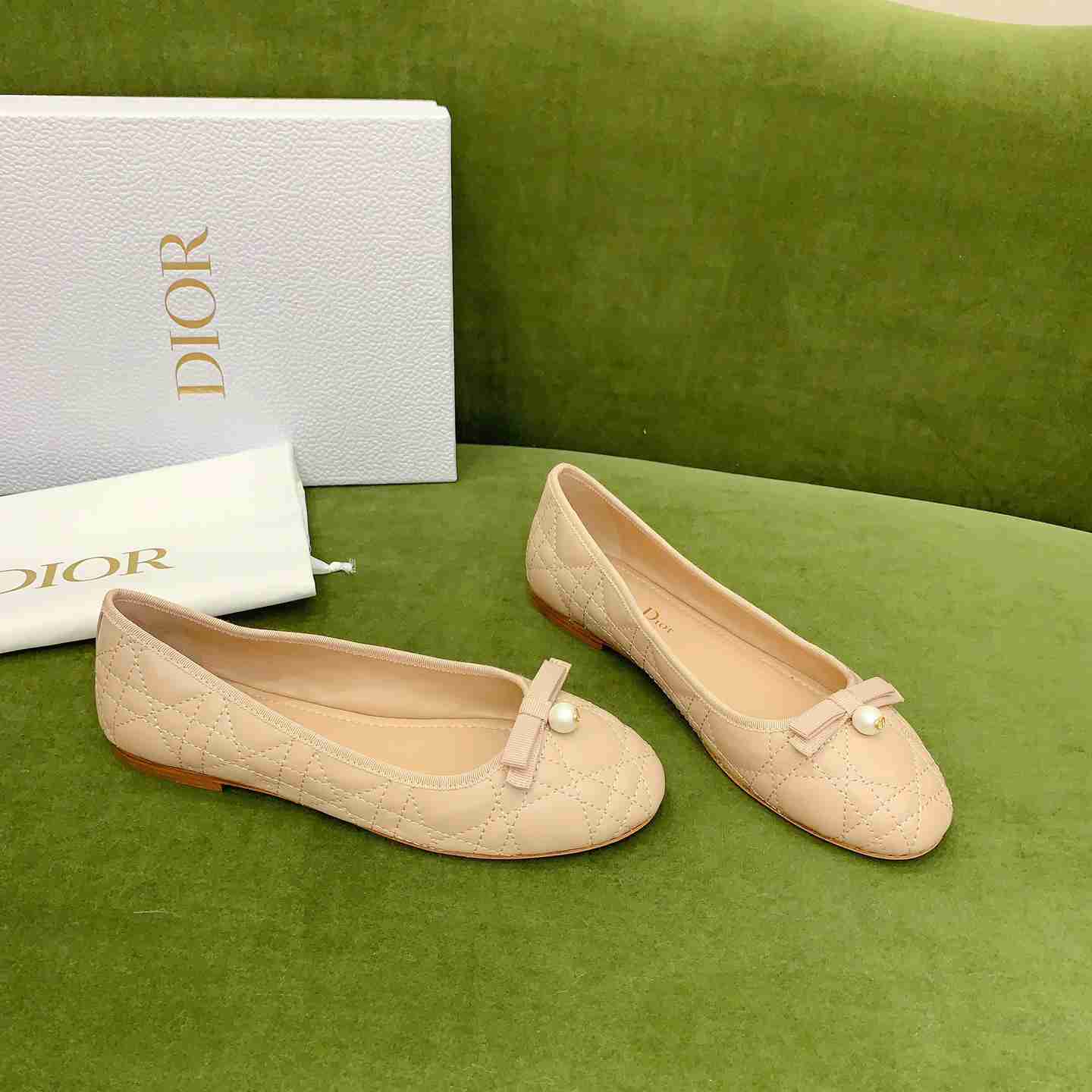 Dior Ballet Flat  - FashionPlug