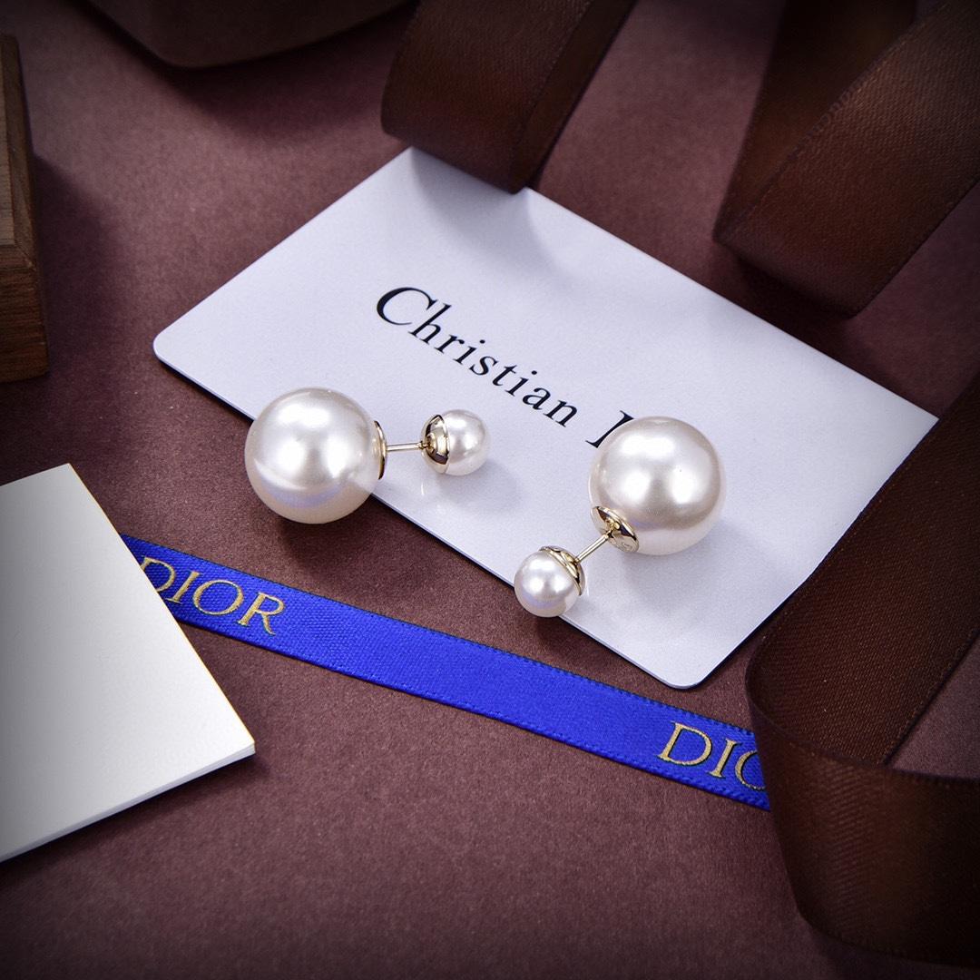 Dior Tribales Earrings - FashionPlug