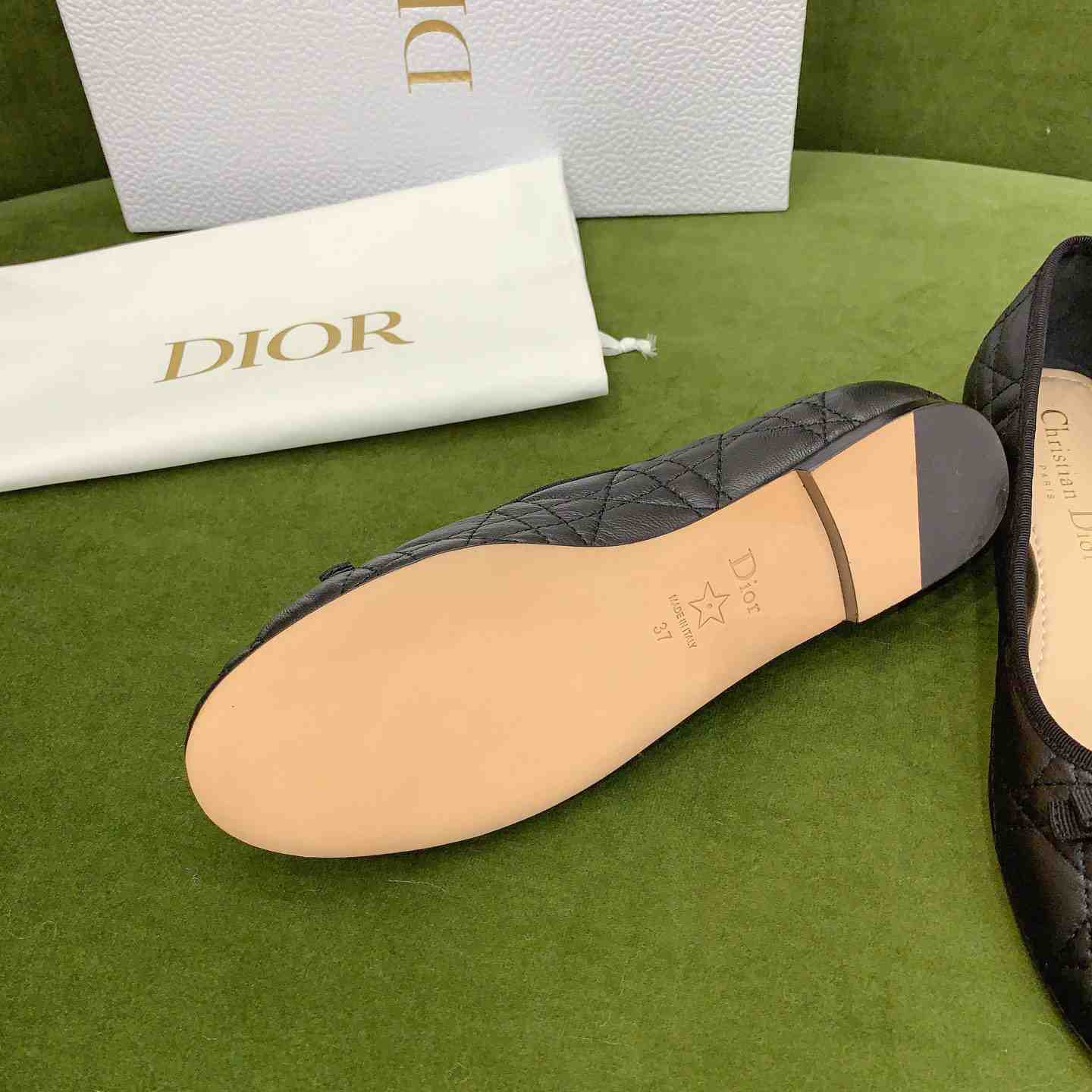Dior Ballet Flat  - FashionPlug