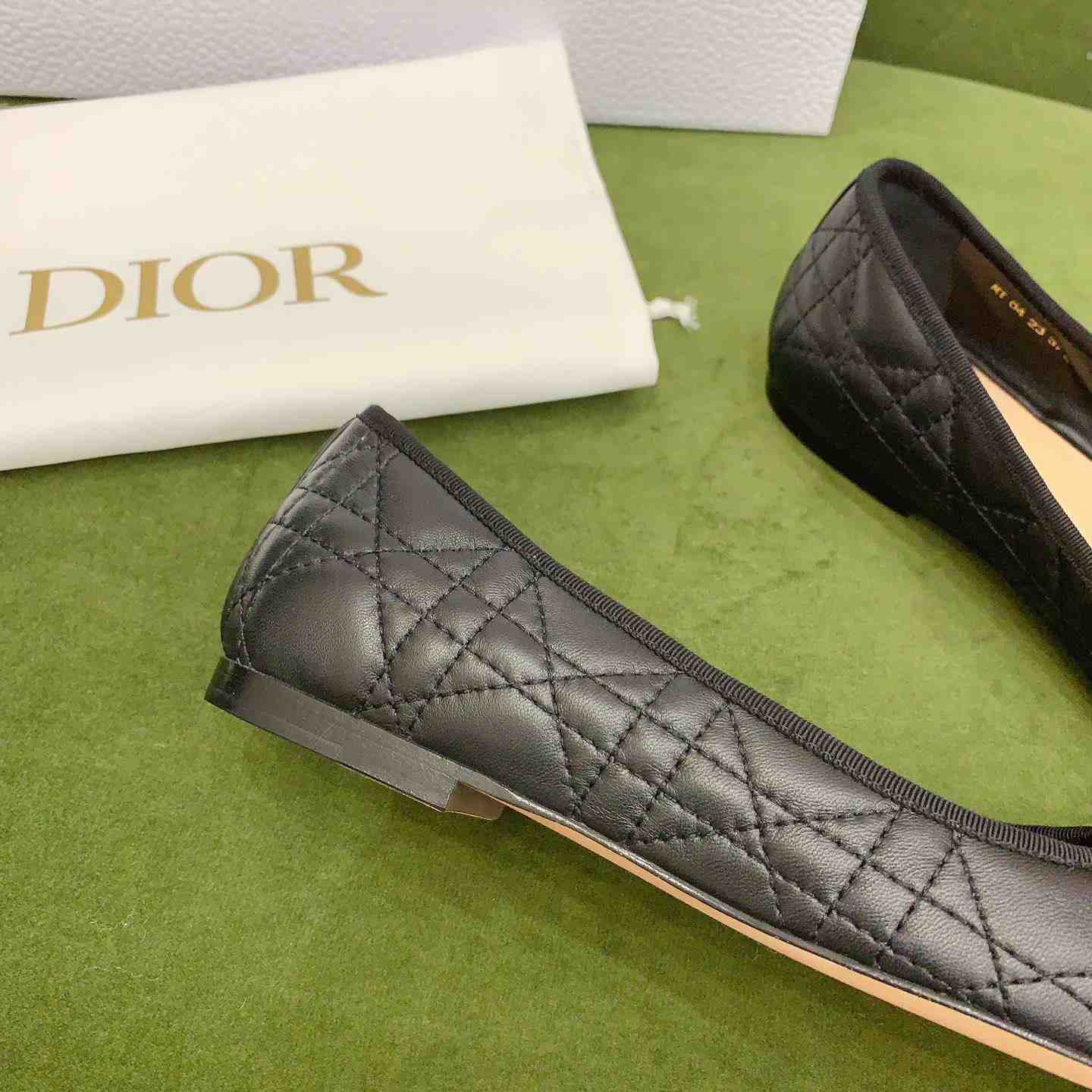 Dior Ballet Flat  - FashionPlug