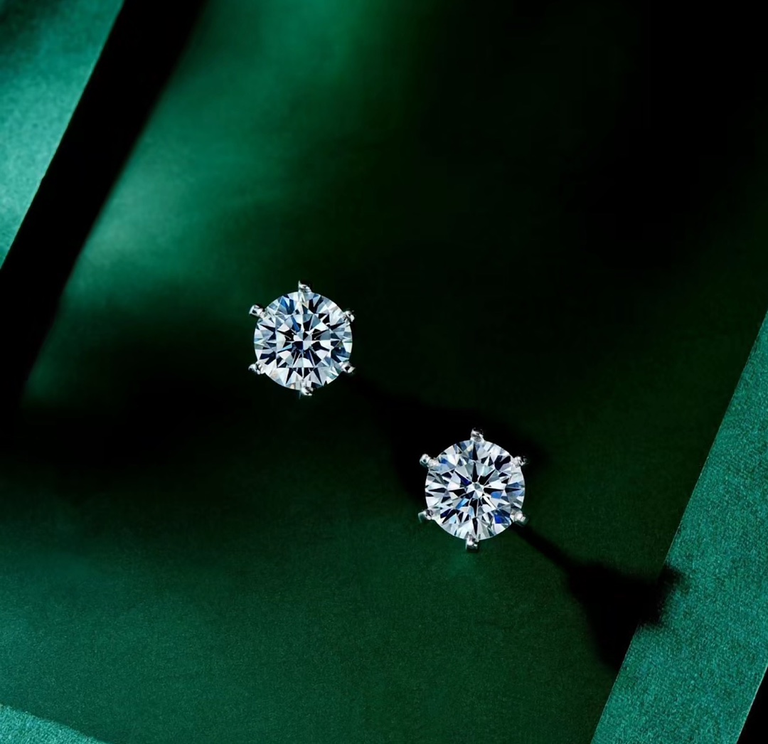 Tiffany&CO Earrings - FashionPlug