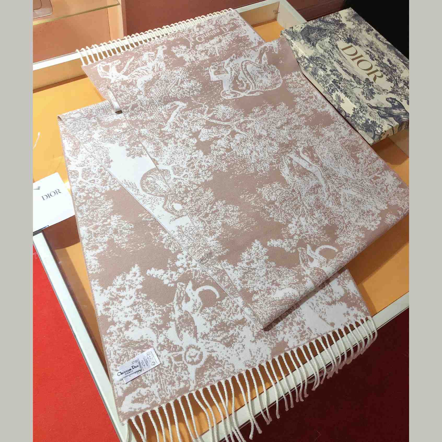 Dior Toile De Jouy Sauvage Scarf  - FashionPlug