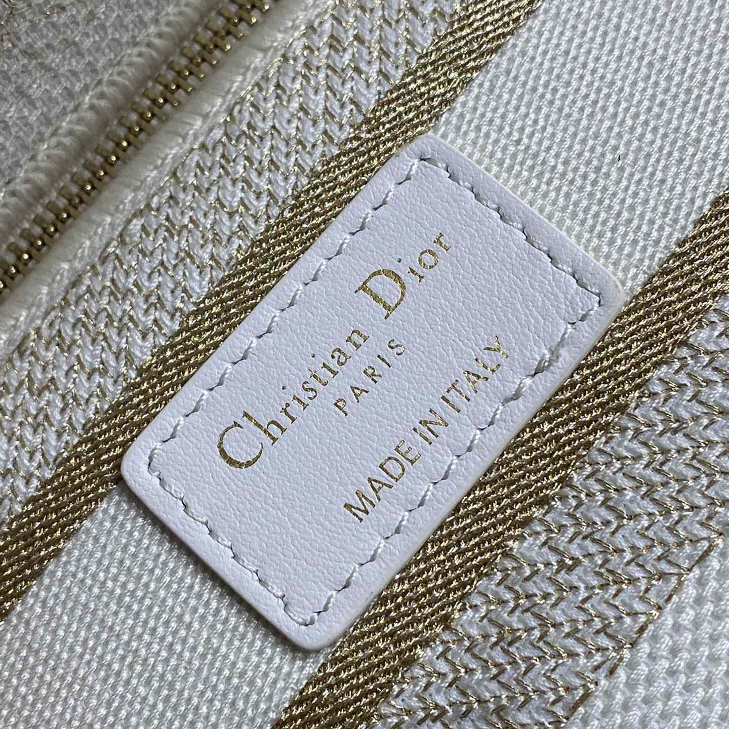Dior Medium Lady D-lite Bag - FashionPlug