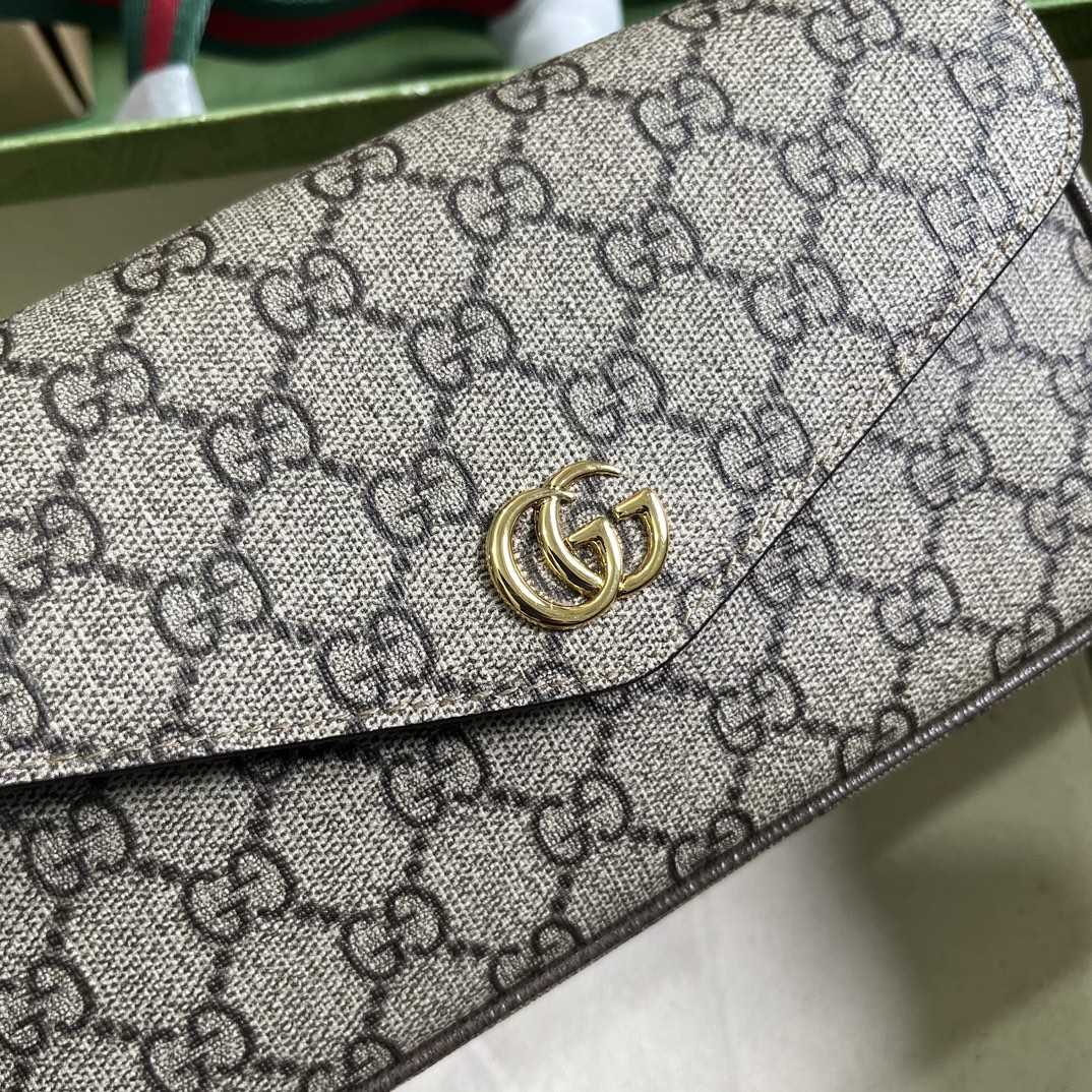 Gucci Ophidia Mini Bag  - FashionPlug