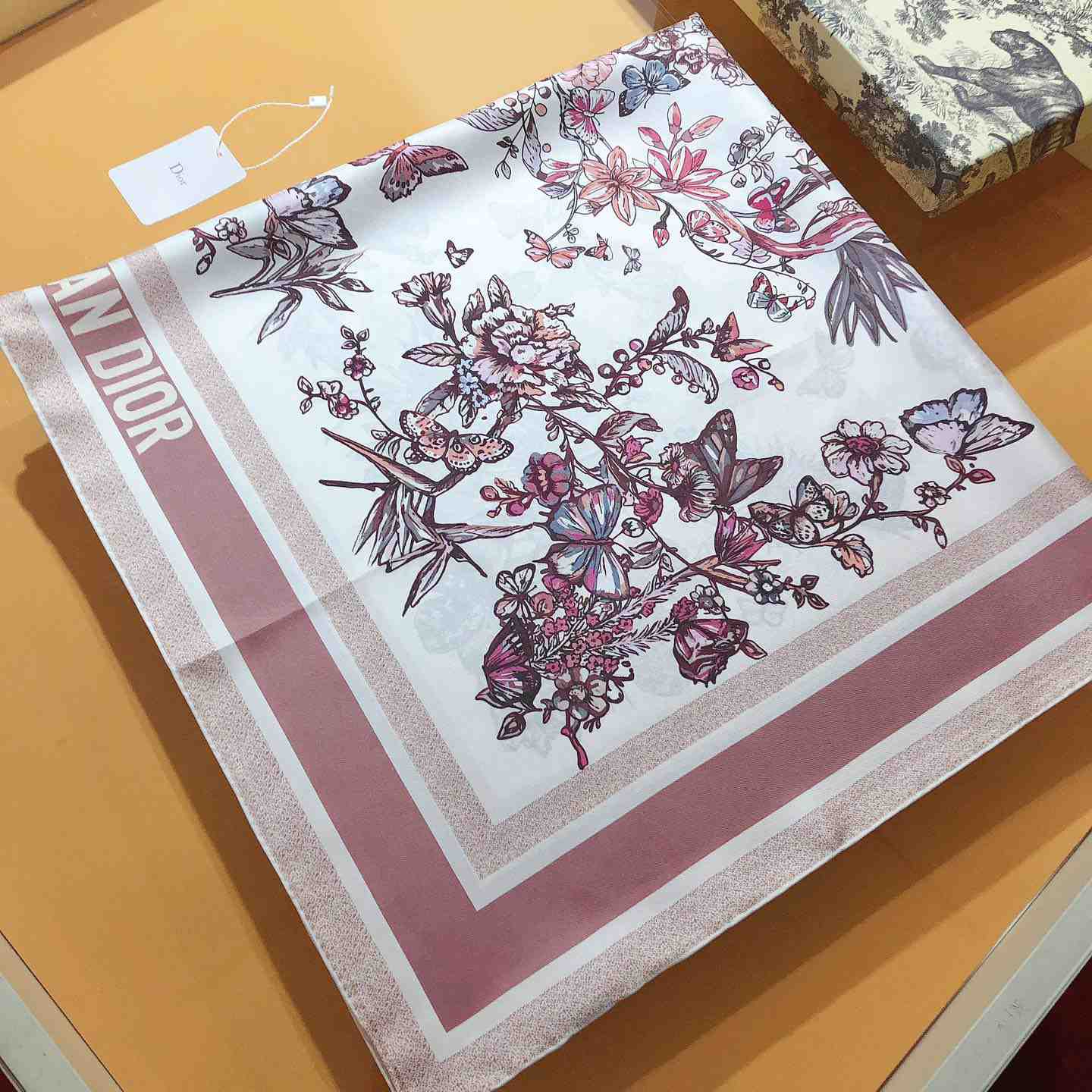 Dior Toile De Jouy Mexico 90 Square Scarf - FashionPlug