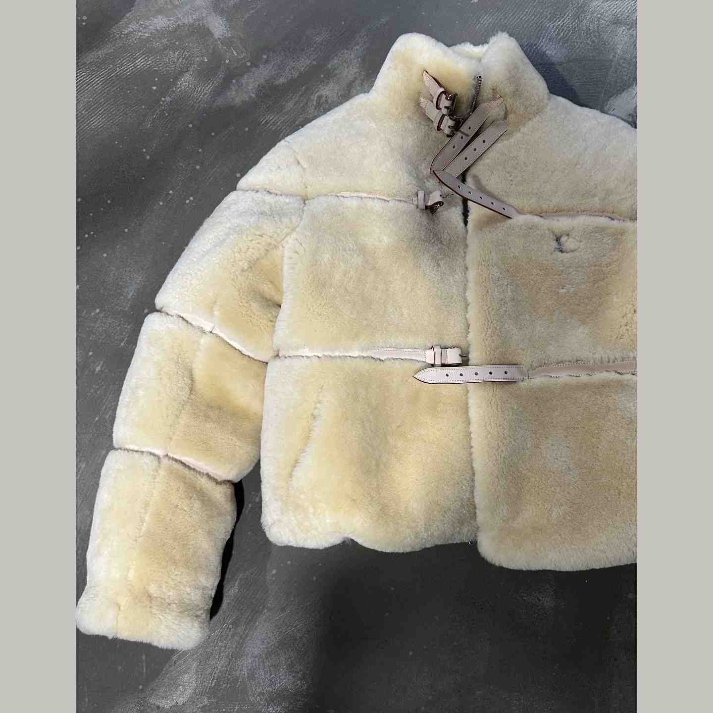 Louis Vuitton Shearling Down Blouson    - FashionPlug
