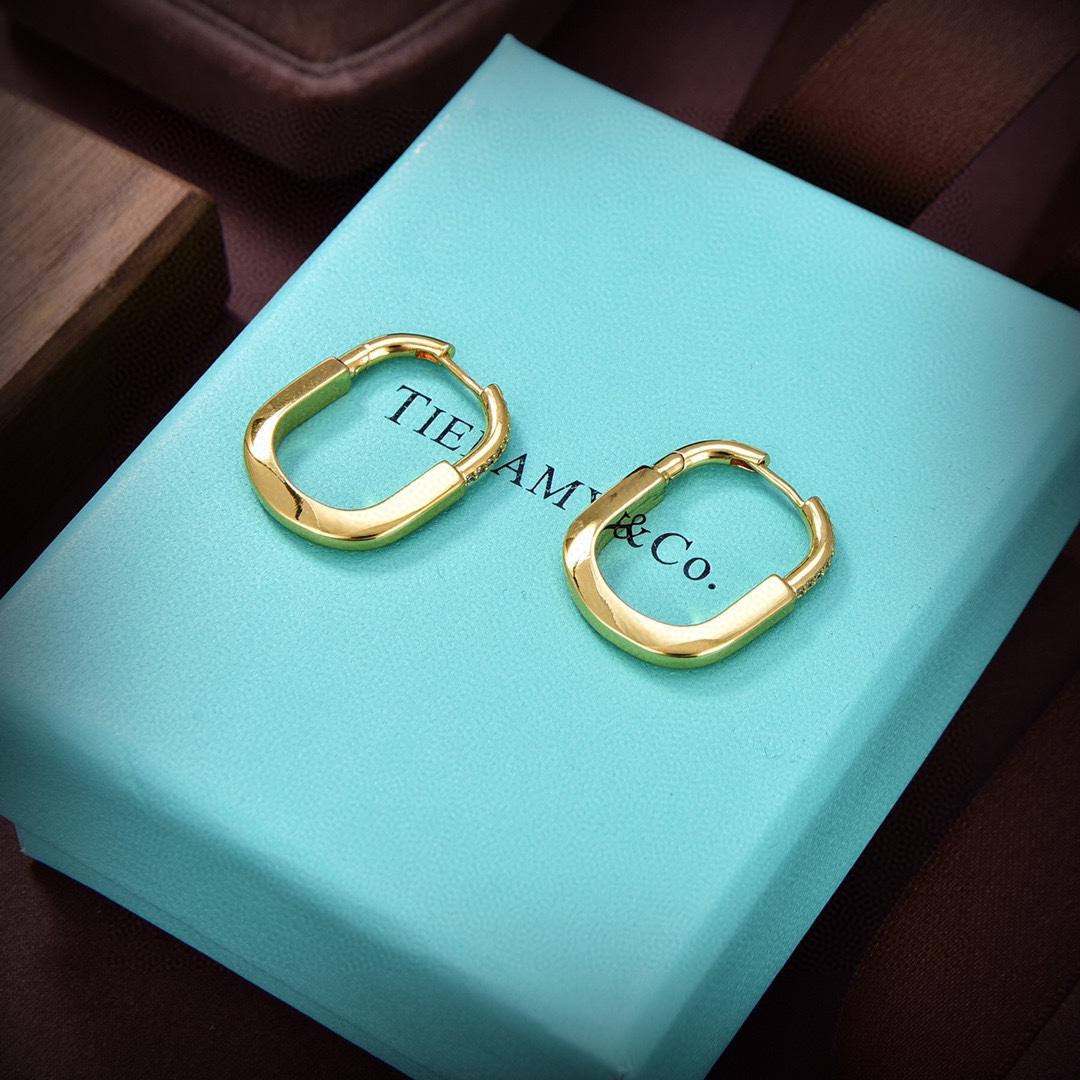 Tiffany&CO Earrings - FashionPlug