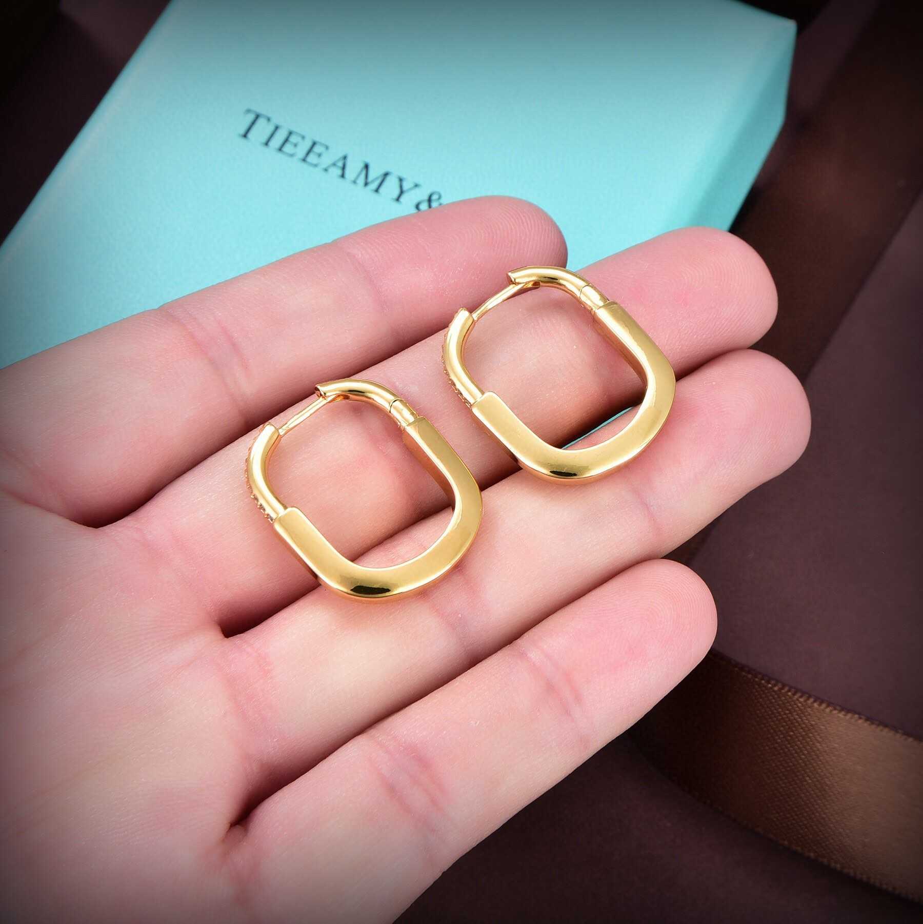 Tiffany&CO Earrings - FashionPlug