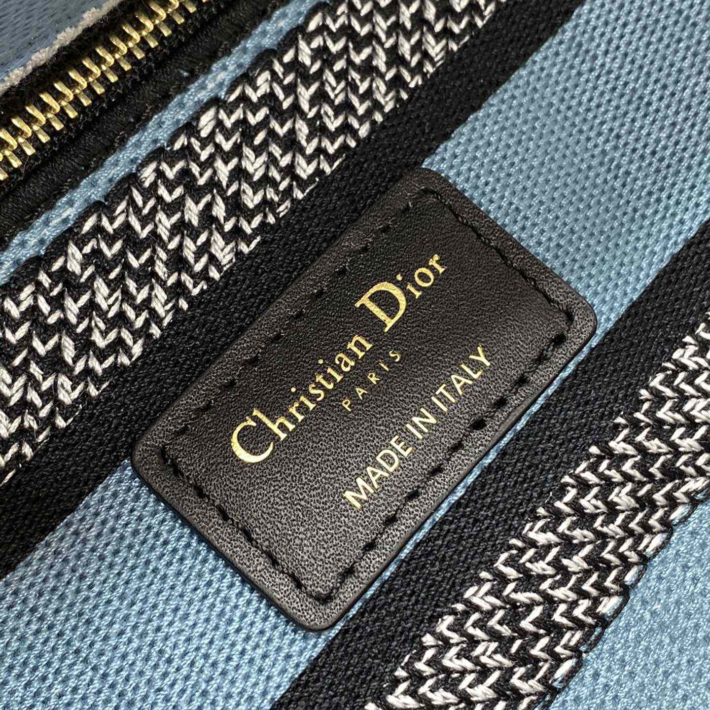 Dior Medium Lady D-Lite Bag - FashionPlug