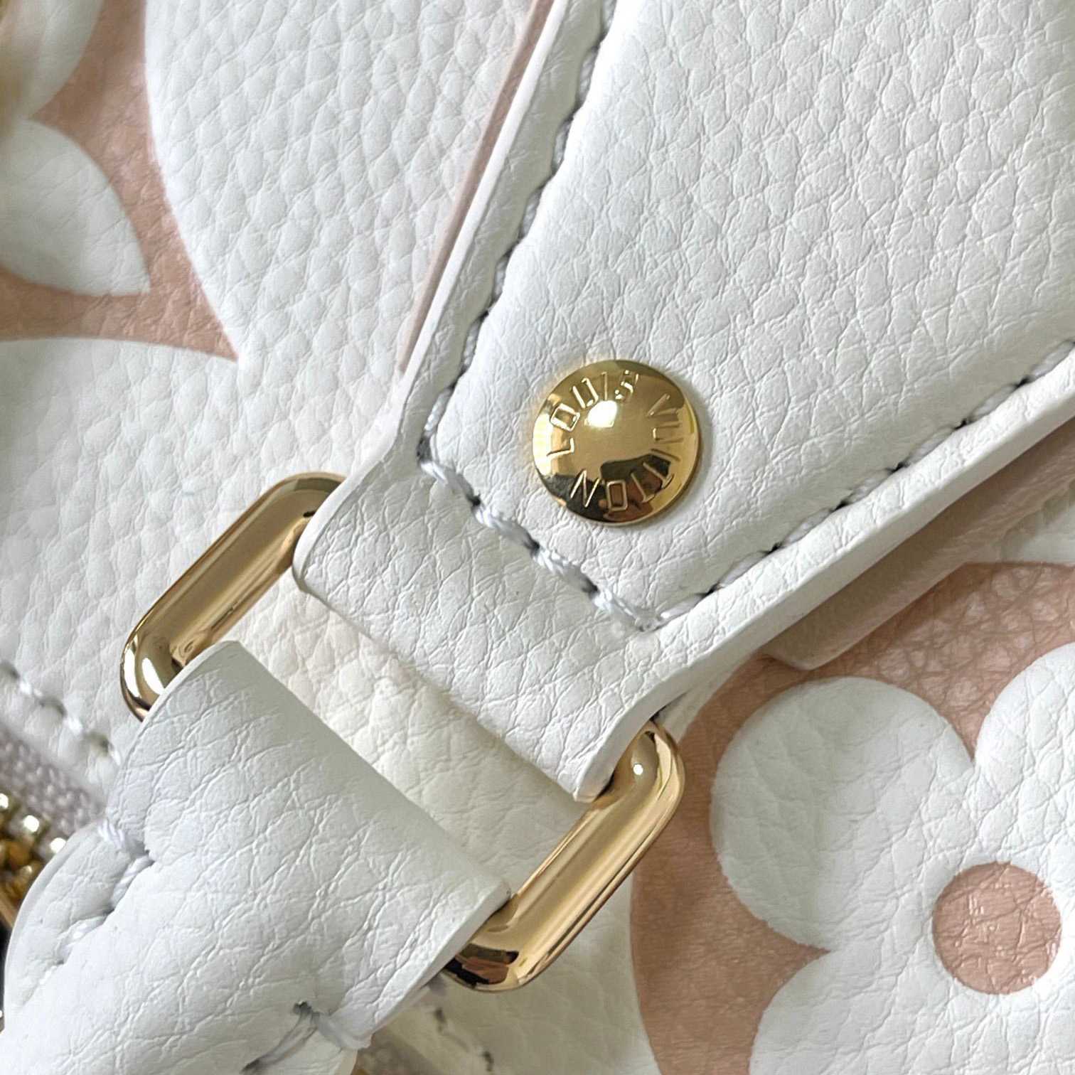 Louis Vuitton Speedy Bandouliere 20    M46875 - FashionPlug