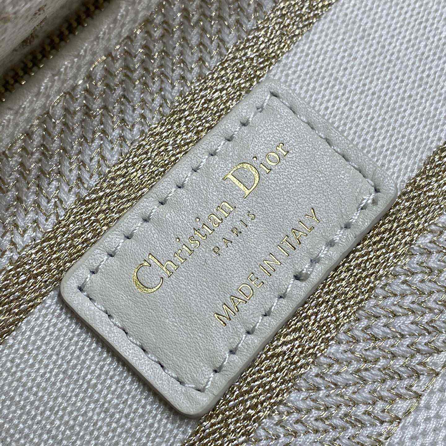 Dior Medium Lady D-Lite Bag - FashionPlug