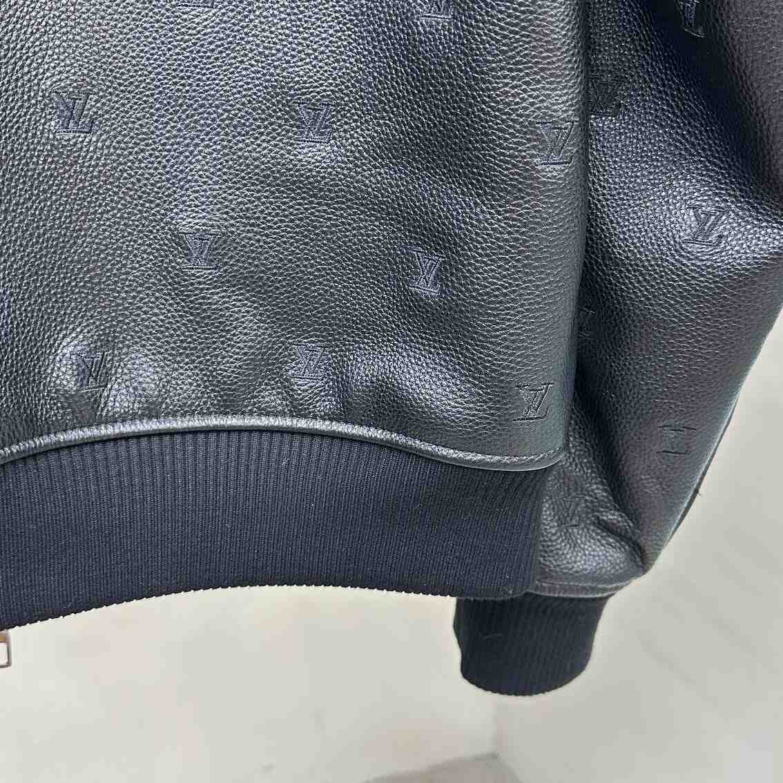 Louis Vuitton Leather Aviator Mink Collar    1AFIPA - FashionPlug