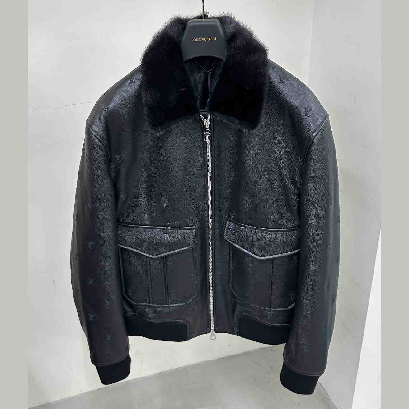 Louis Vuitton Leather Aviator Mink Collar    1AFIPA - FashionPlug