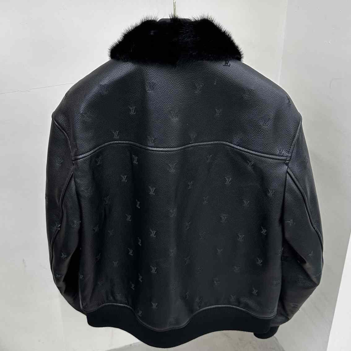 Louis Vuitton Leather Aviator Mink Collar    1AFIPA - FashionPlug