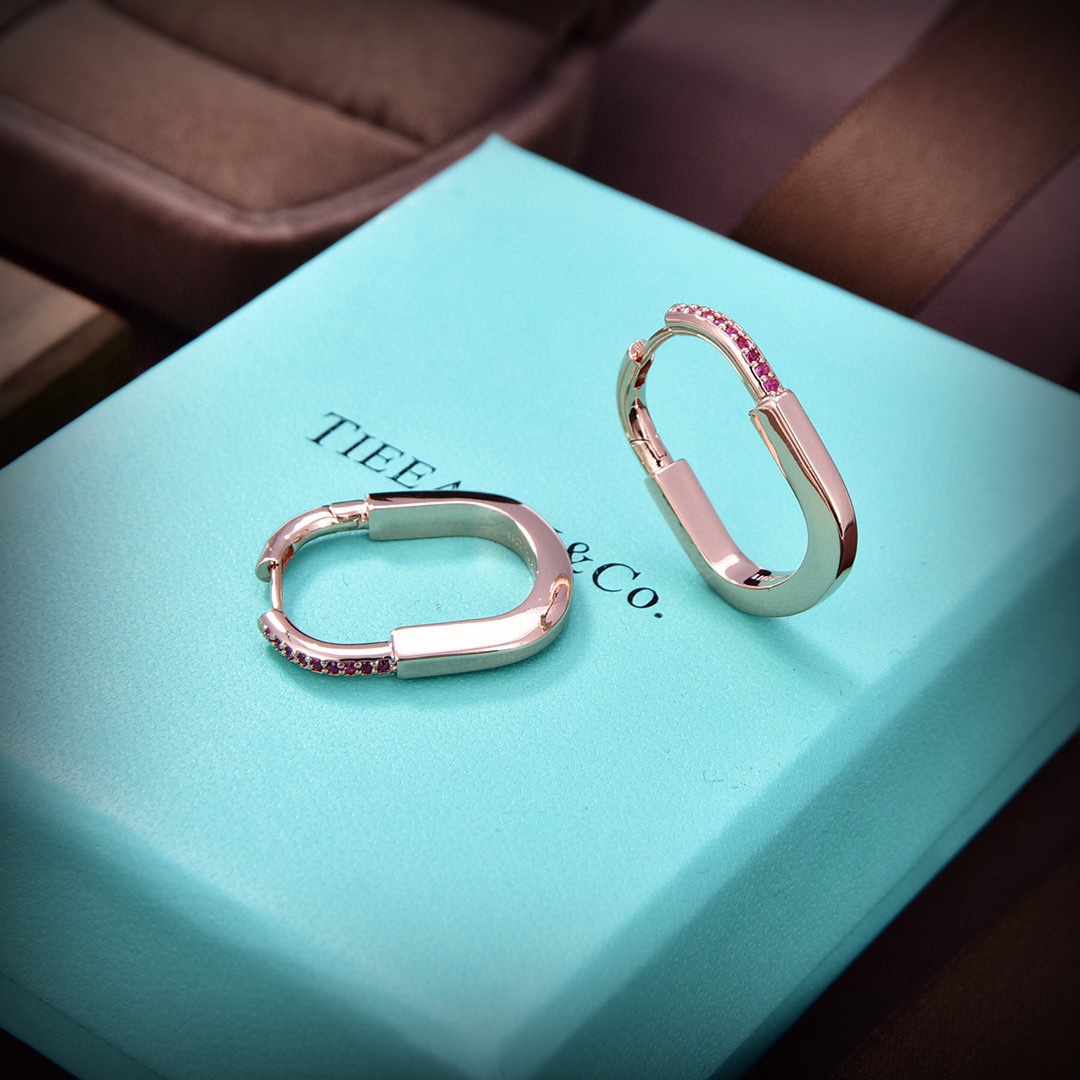 Tiffany&CO Earrings - FashionPlug