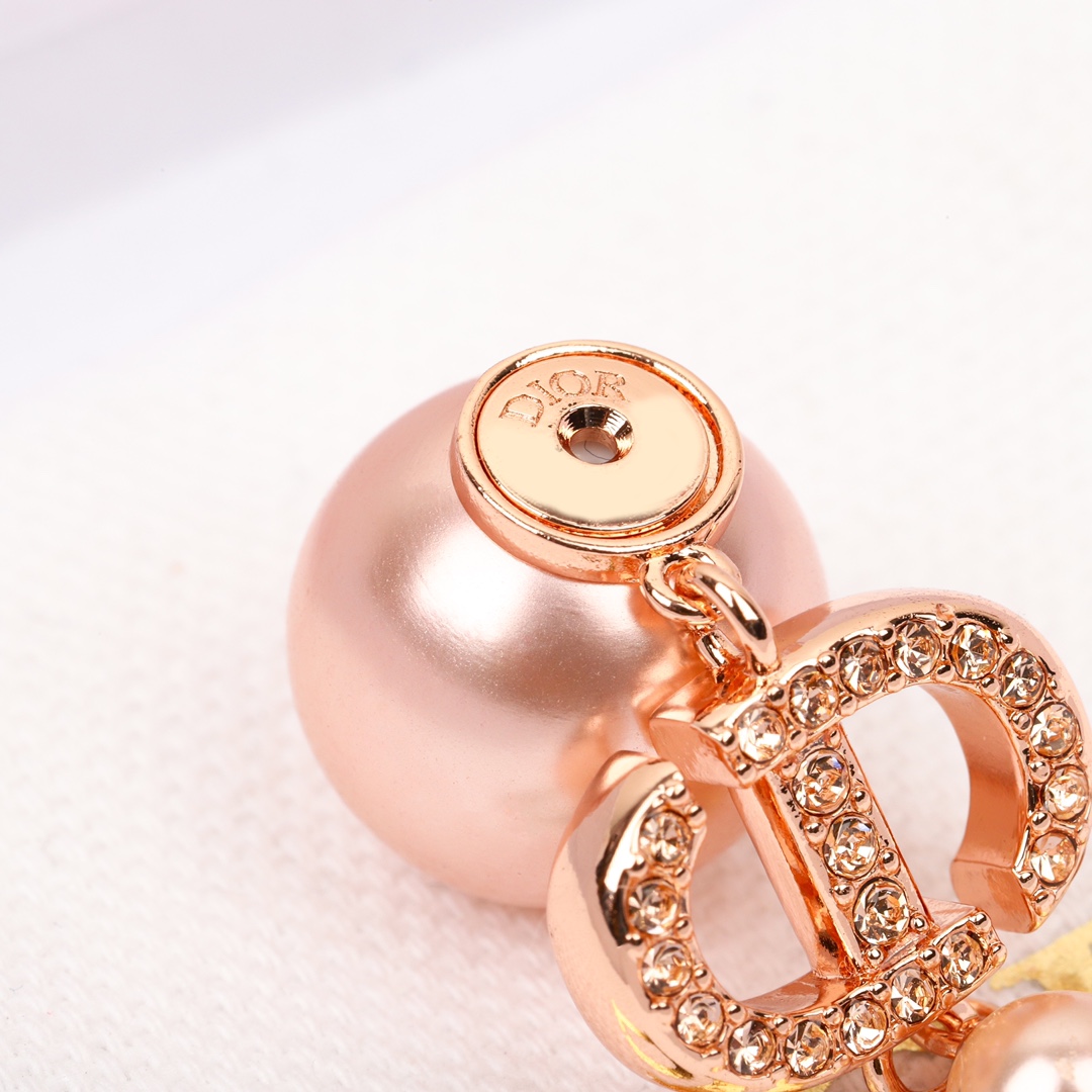 Dior Tribales Earrings - FashionPlug