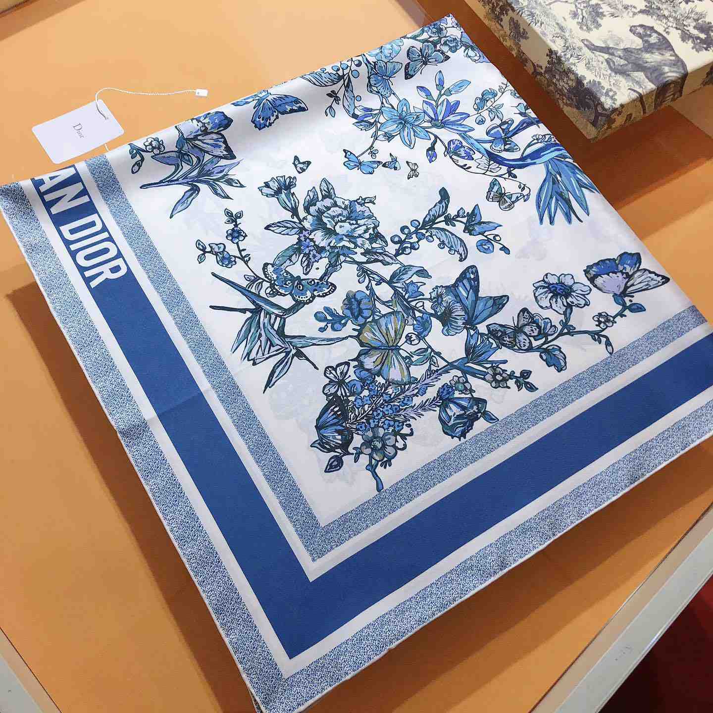 Dior Toile De Jouy Mexico 90 Square Scarf - FashionPlug