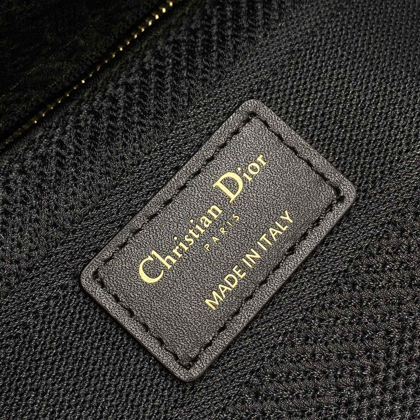 Dior Medium Lady D-Lite Bag - FashionPlug