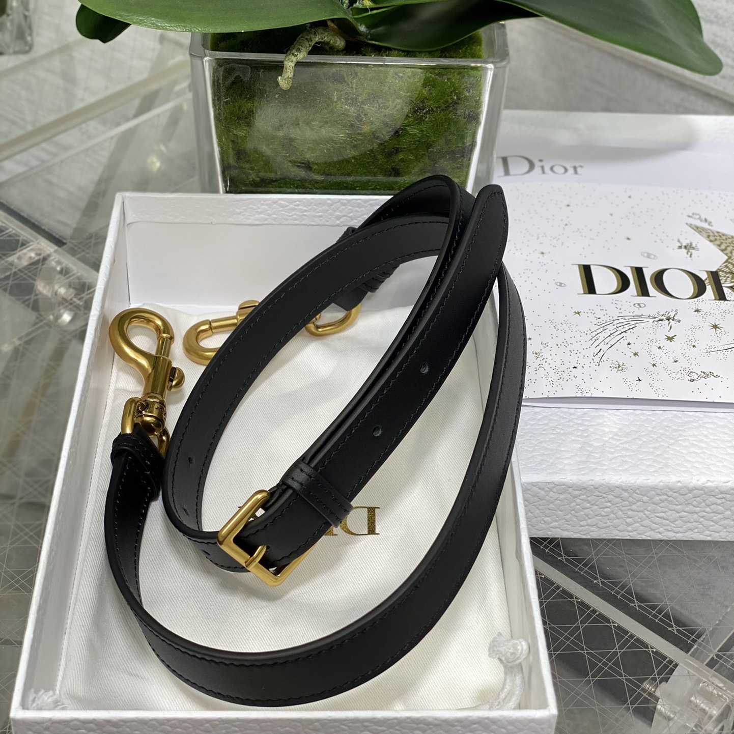 Dior Saddle Bag With Strap  (24×6×18cm) - FashionPlug
