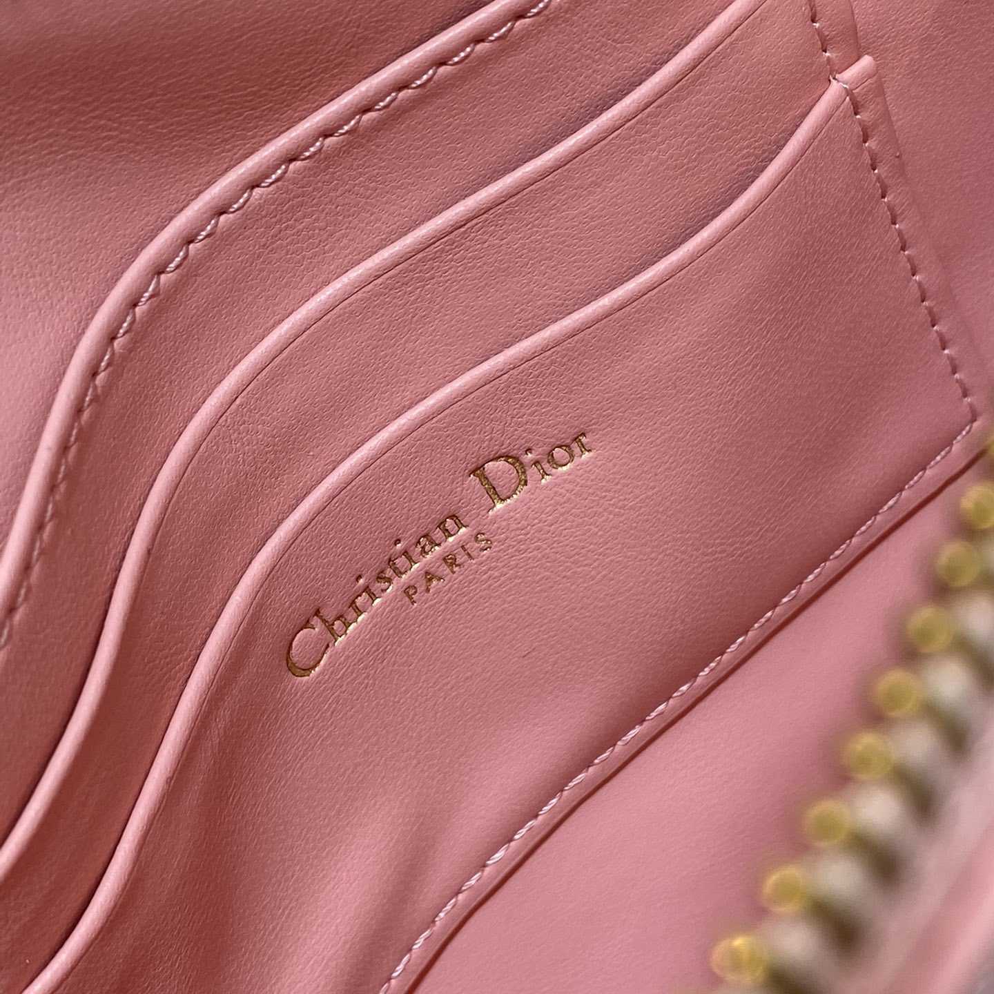 Dior Saddle Shoulder Pouch - FashionPlug