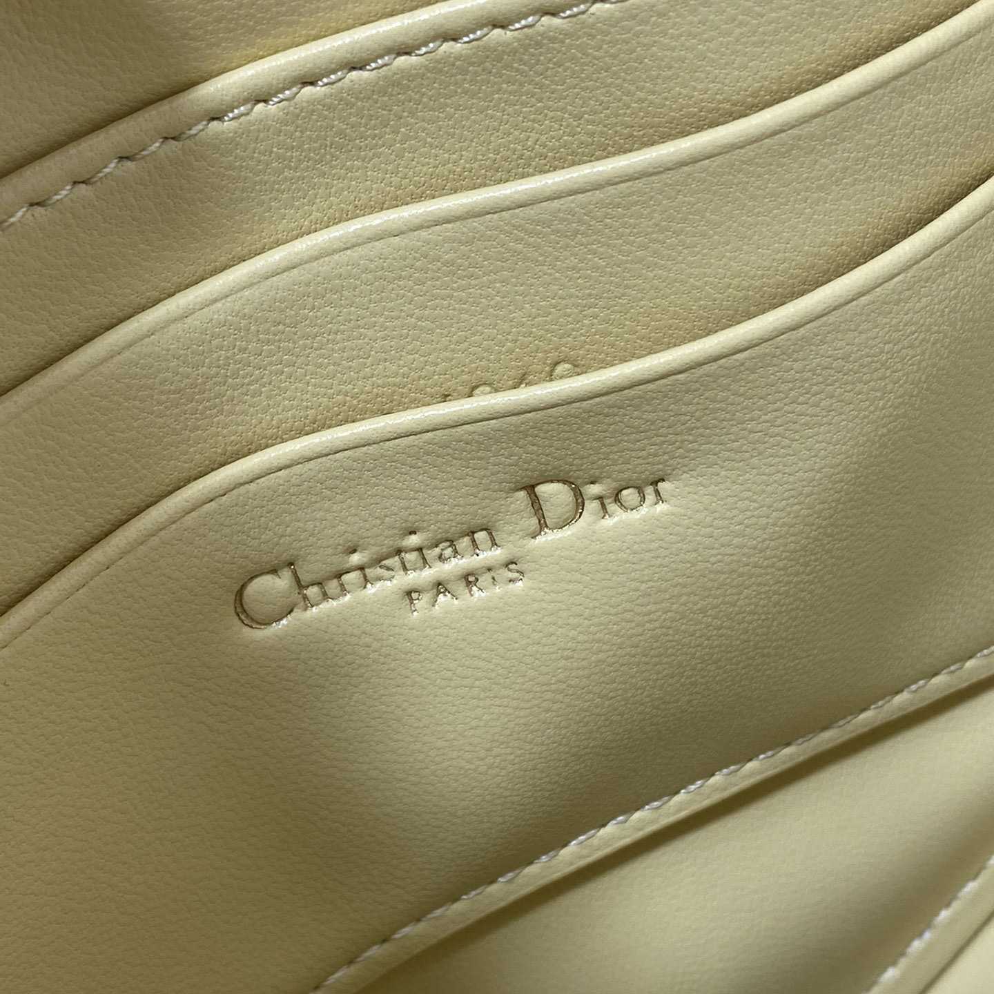 Dior Saddle Shoulder Pouch - FashionPlug