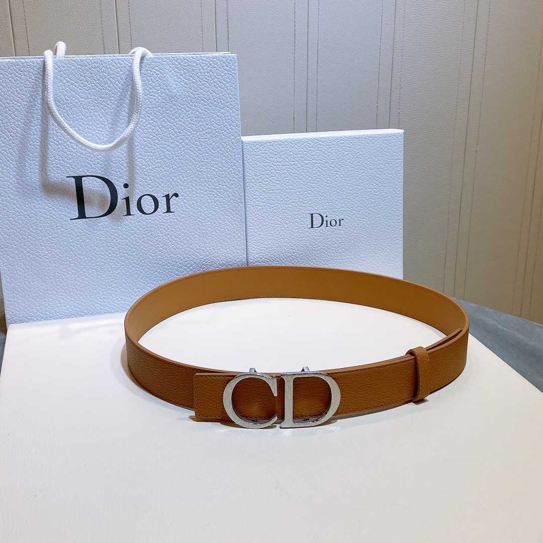 Dior Reversible Saddle Belt - FashionPlug