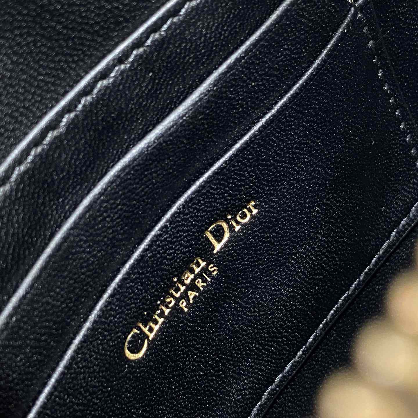 Dior Saddle Shoulder Pouch - FashionPlug