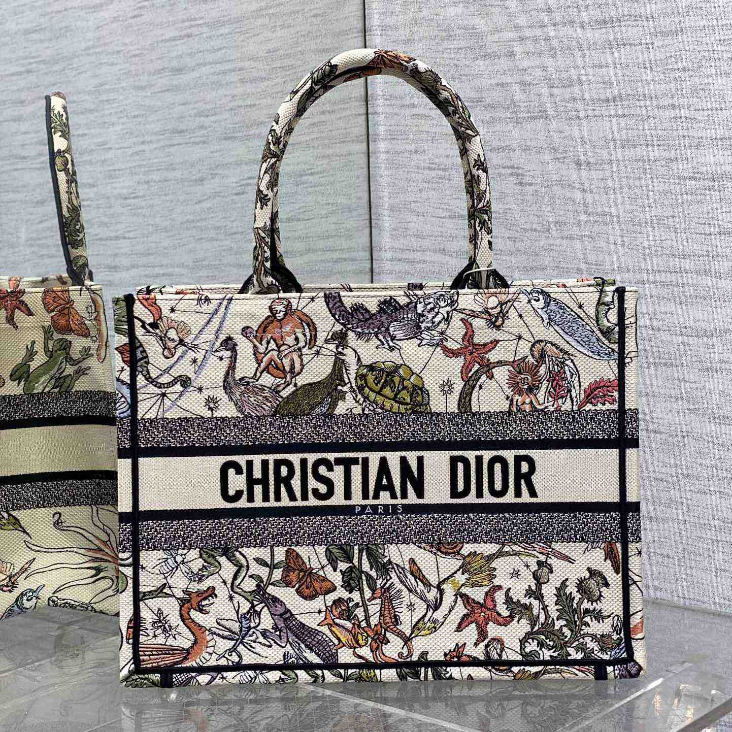 Dior Medium Dior Book Tote - FashionPlug