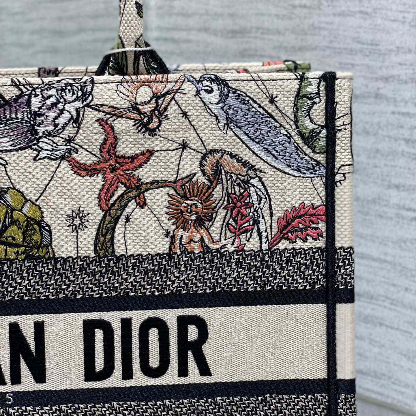 Dior Medium Dior Book Tote - FashionPlug