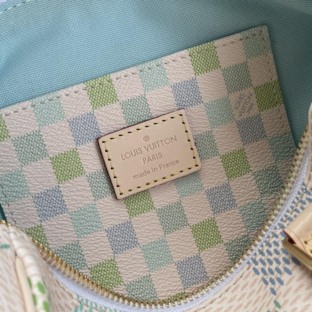 Louis Vuitton Speedy Bandoulière 20   N40515 - FashionPlug