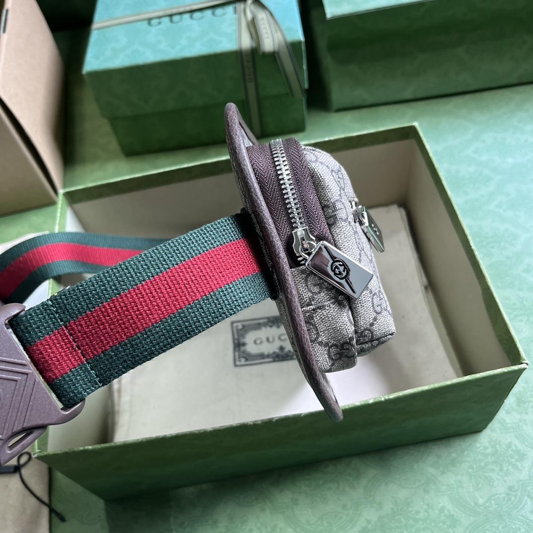 Gucci GG Belt Bag(17-27-4cm) - FashionPlug