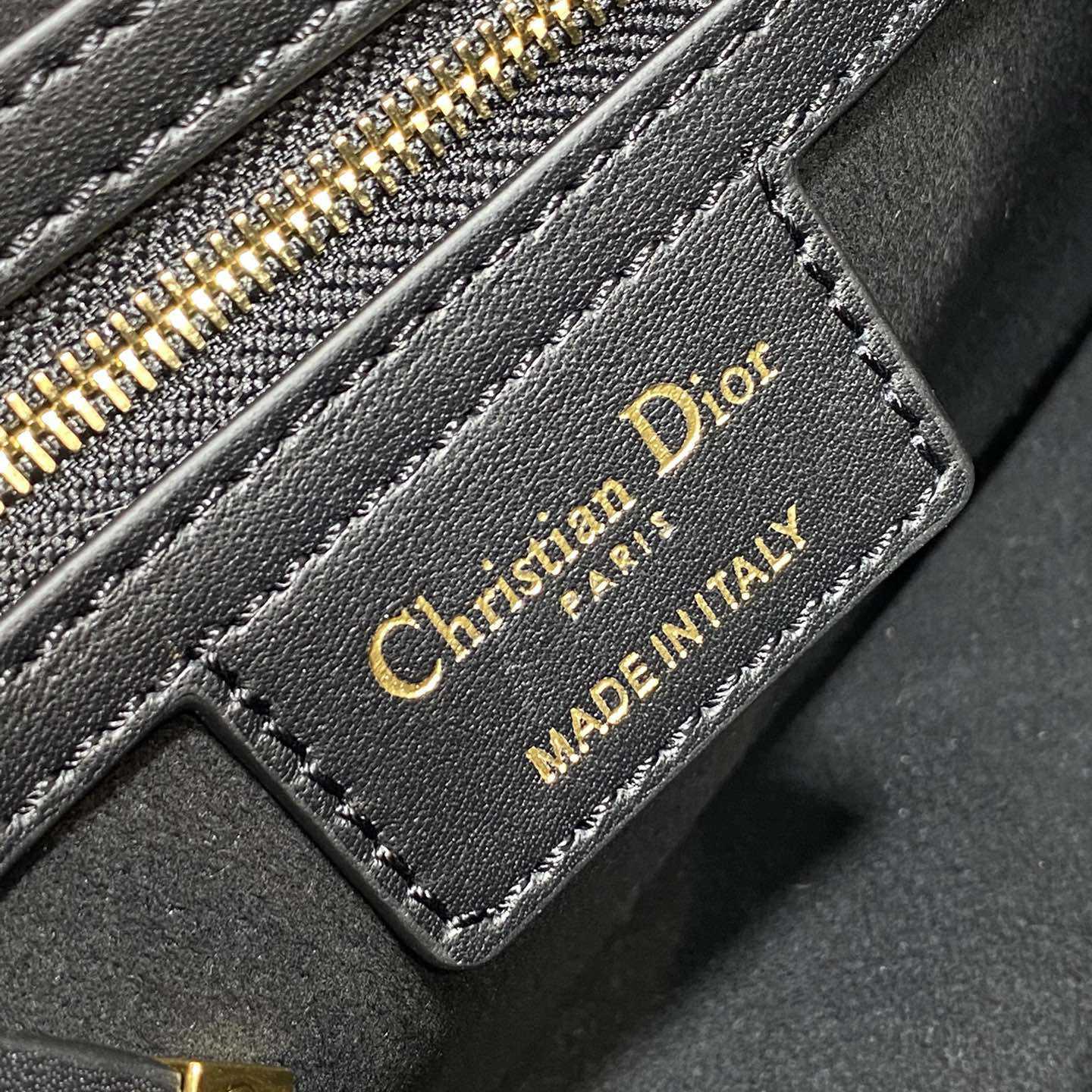 Dior Small CD Besace Bag - FashionPlug