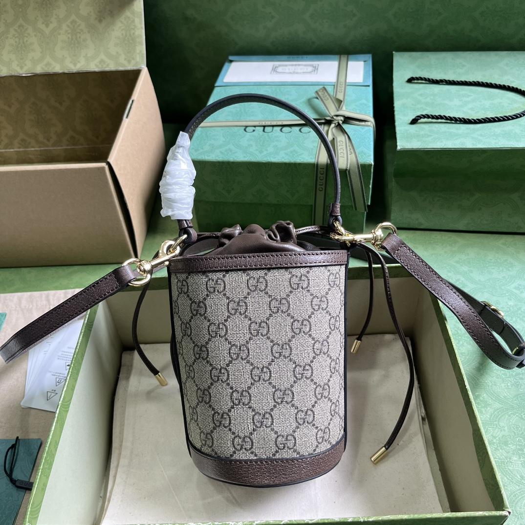 Gucci Ophidia Mini Bucket Bag  (11.5-20-8cm) - FashionPlug