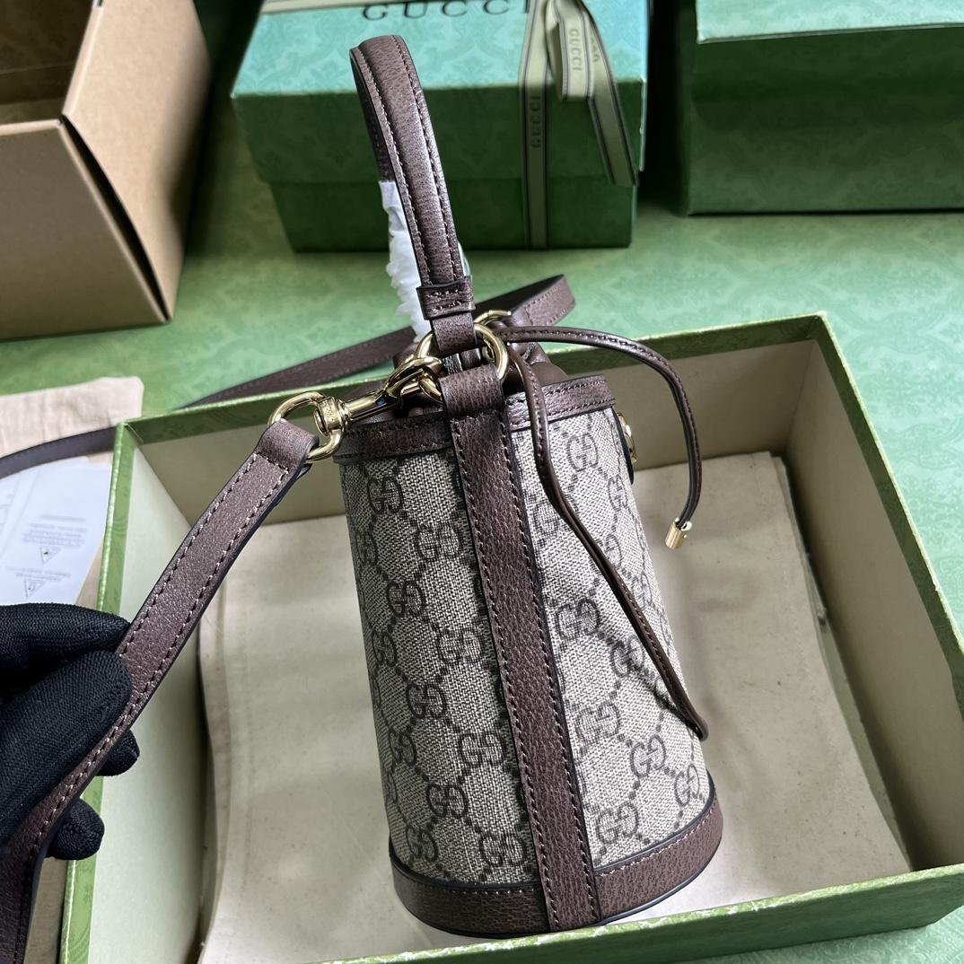 Gucci Ophidia Mini Bucket Bag  (11.5-20-8cm) - FashionPlug