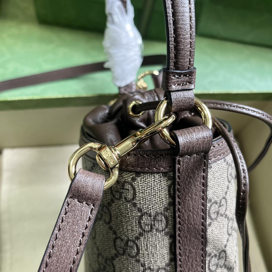 Gucci Ophidia Mini Bucket Bag  (11.5-20-8cm) - FashionPlug