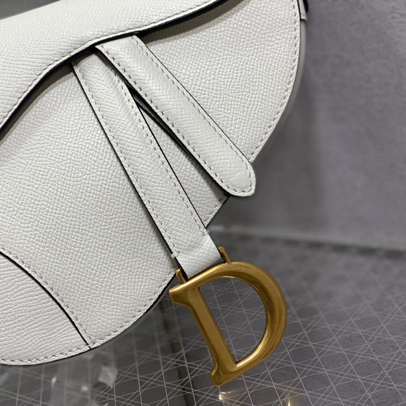 Dior Saddle Bag    19.5cm - FashionPlug