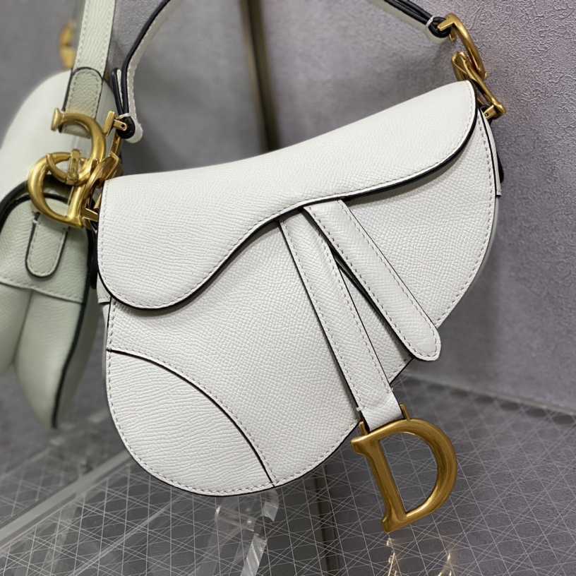 Dior Saddle Bag    19.5cm - FashionPlug
