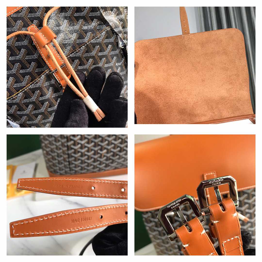 Goyard Alpin MM Backpack - FashionPlug