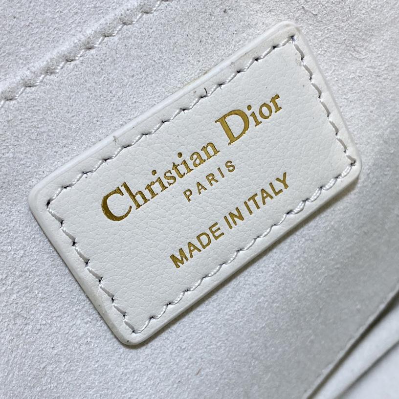 Dior Small Dior Caro Top Handle Camera Bag - FashionPlug