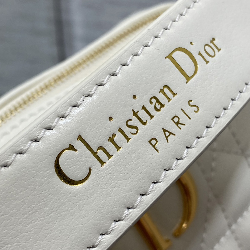 Dior Small Dior Caro Top Handle Camera Bag - FashionPlug