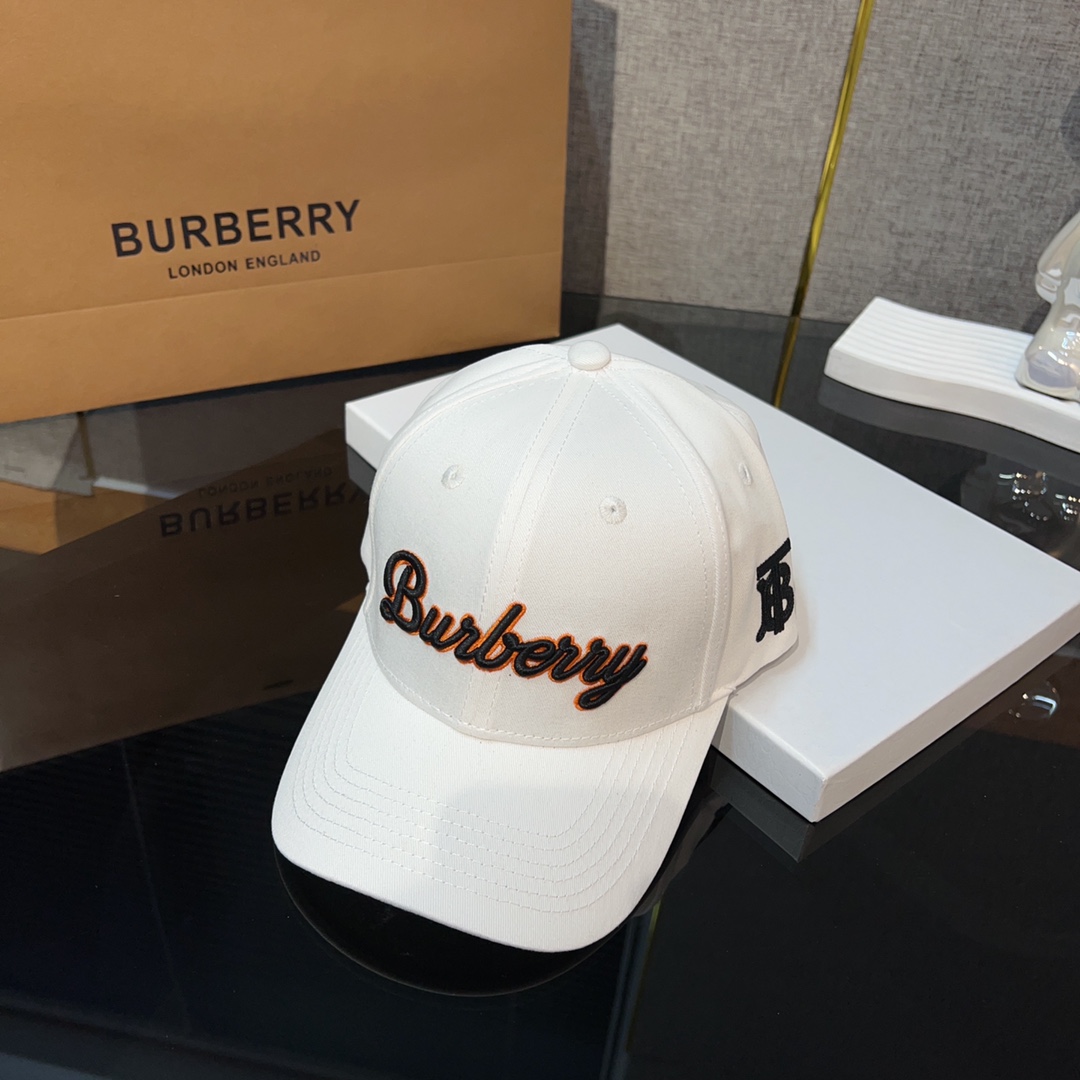 Burberry Cap - FashionPlug