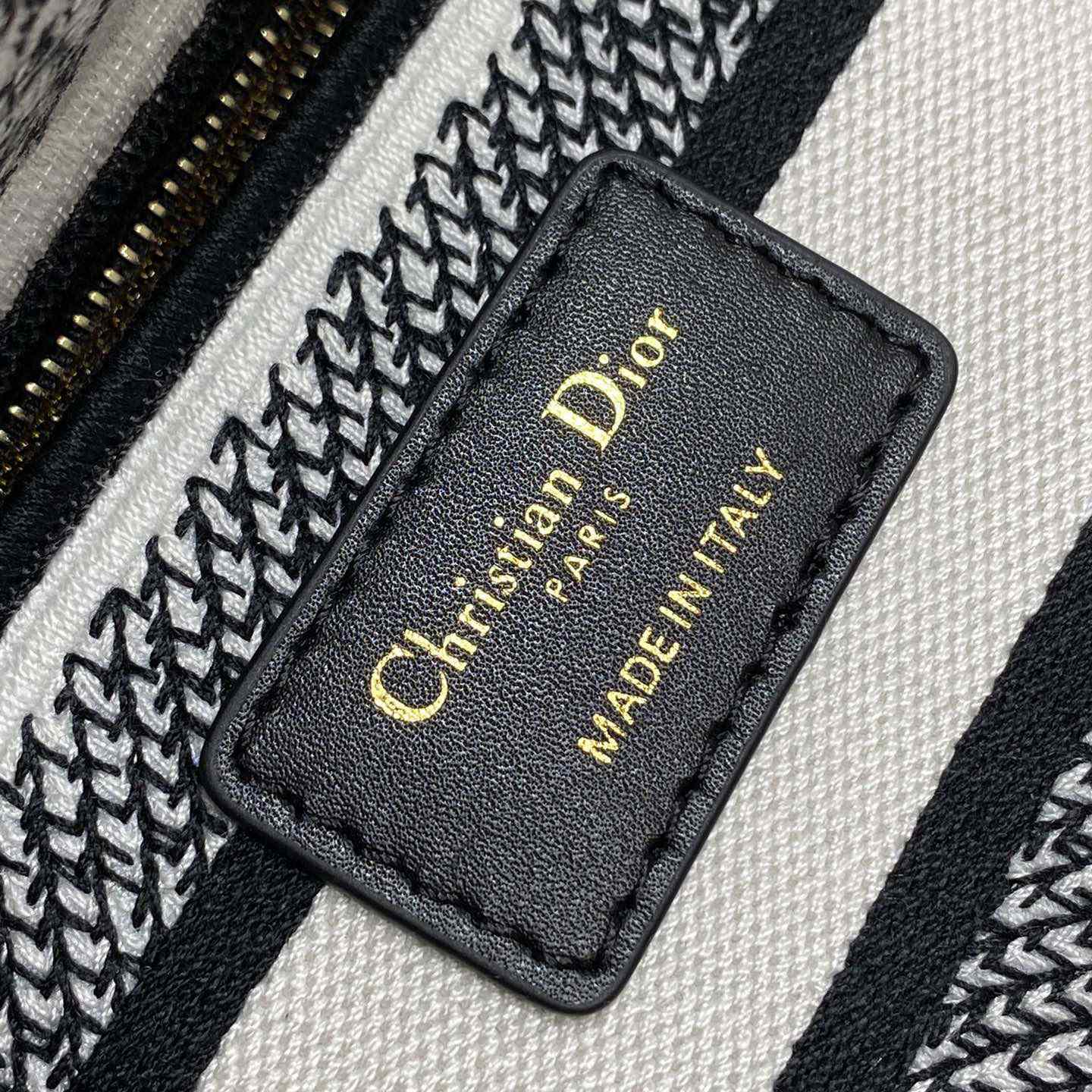 Dior Medium Lady D-Lite Bag - FashionPlug
