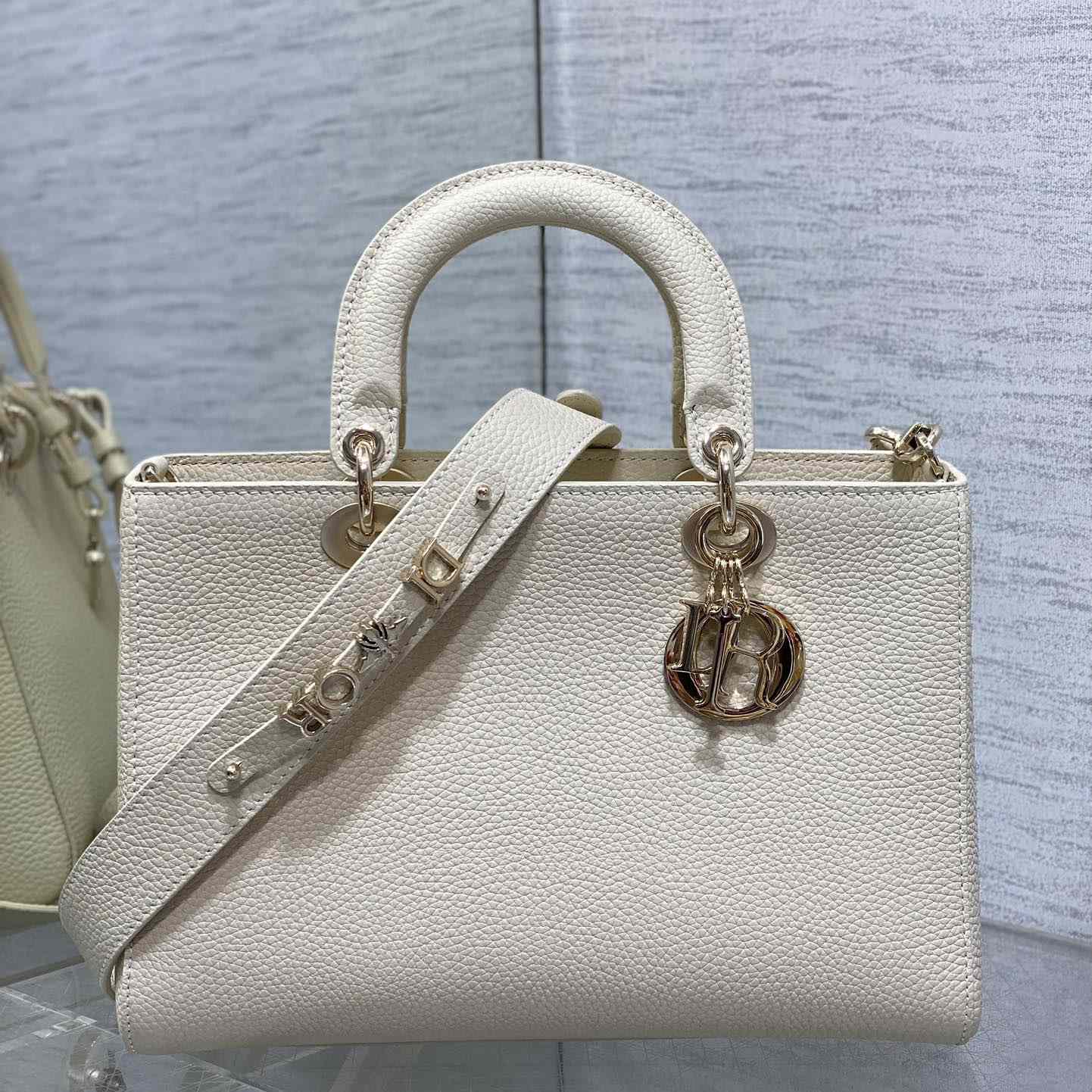 Dior Medium Lady D-Sire My ABCDior Bag - FashionPlug