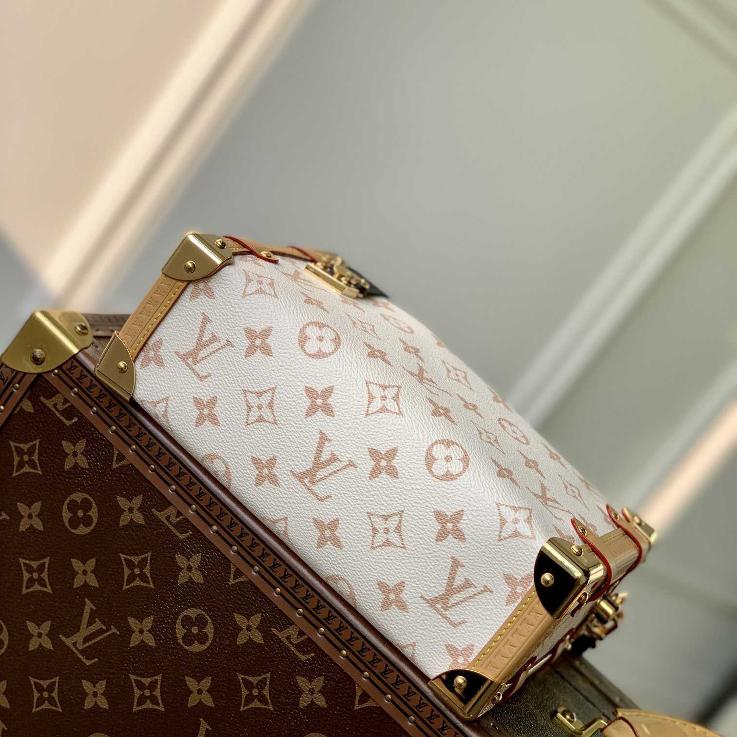 Louis Vuitton Side Trunk MM   M46907 - FashionPlug