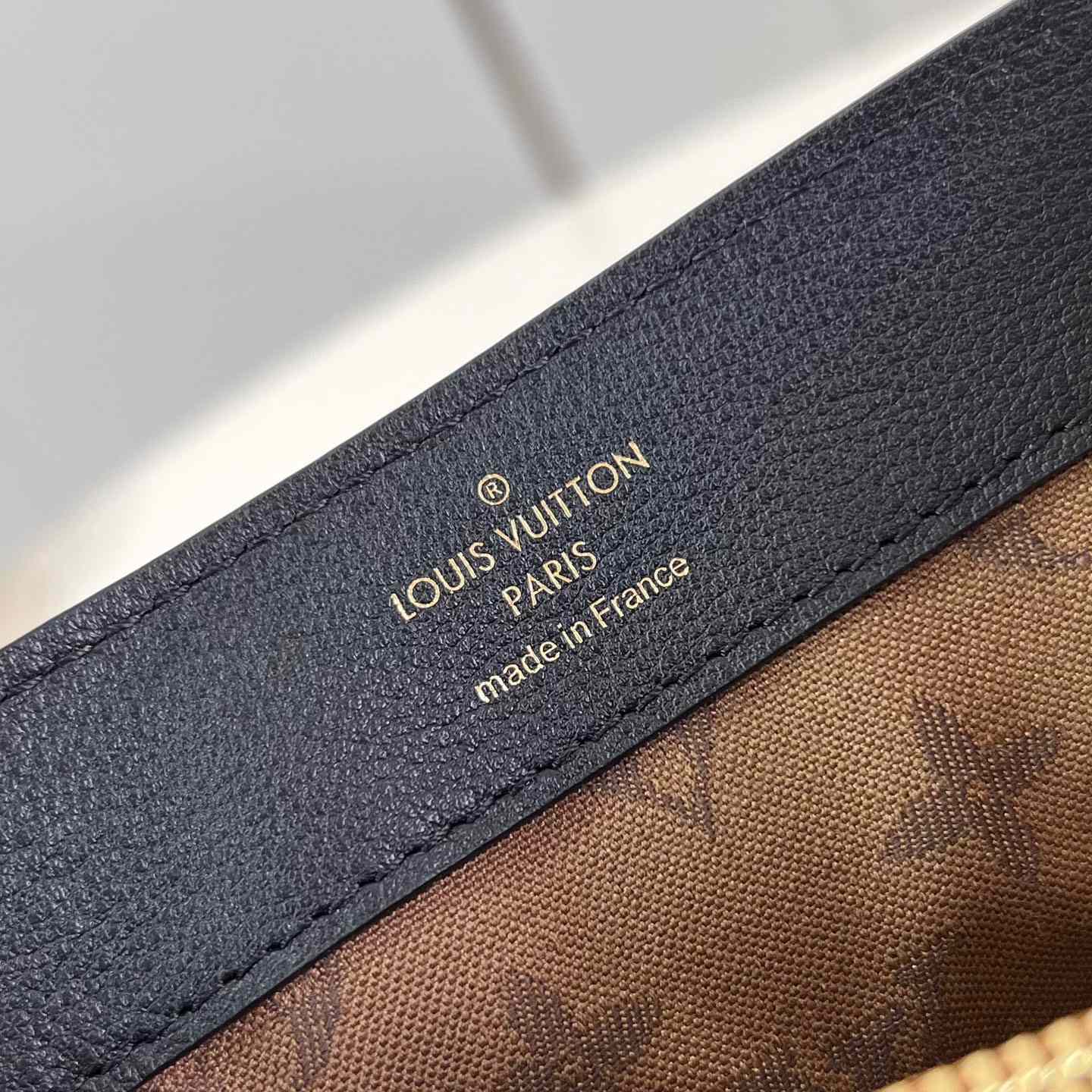 Louis Vuitton Dauphine Soft MM   M25209 - FashionPlug